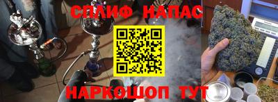 ПСИЛОЦИБИНОВЫЕ ГРИБЫ Новозыбков