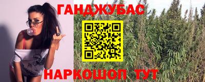 mdpv Новодвинск