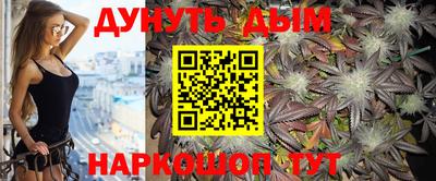 дмт Новокубанск