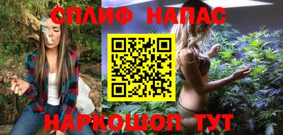 дмт Новокубанск
