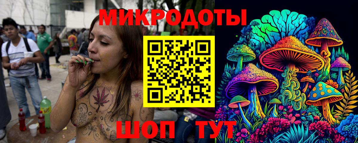 Псилоцибиновые грибы Psilocybine cubensis  купить наркотики цена  Тулун  Псилоцибиновые грибы Psilocybine cubensis  Вход с VPN 