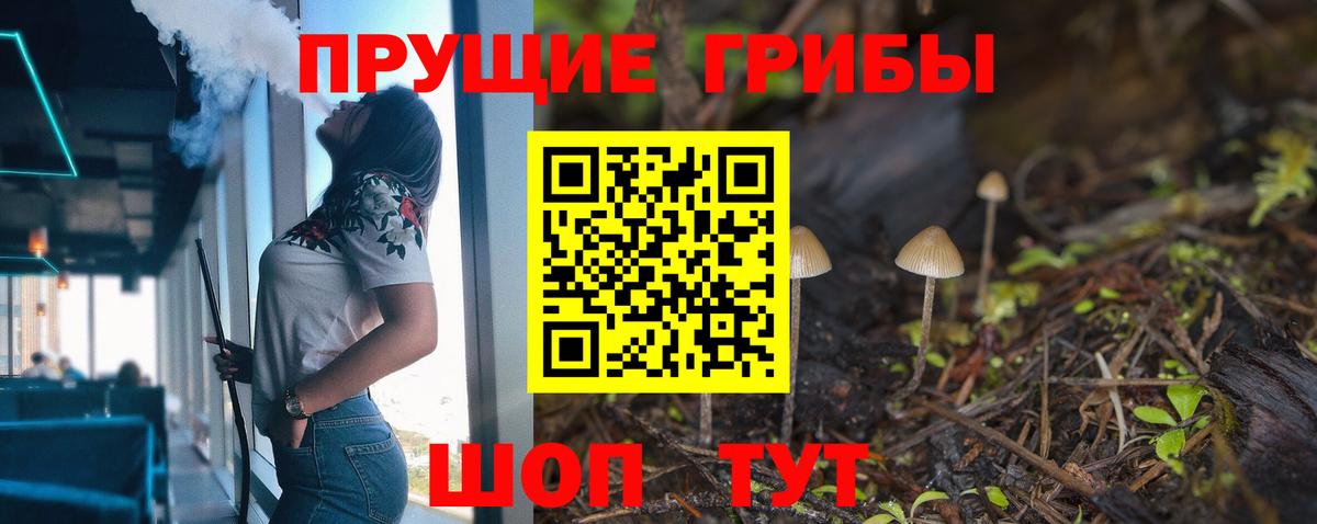 Псилоцибиновые грибы Psilocybine cubensis Тулун